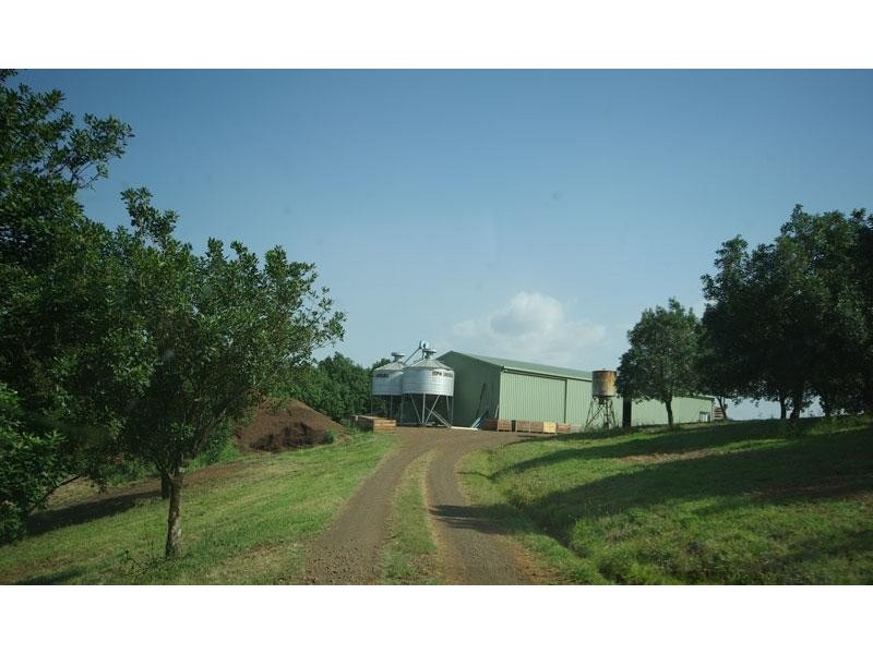1781 Dunoon Road, Dunoon NSW 2480
