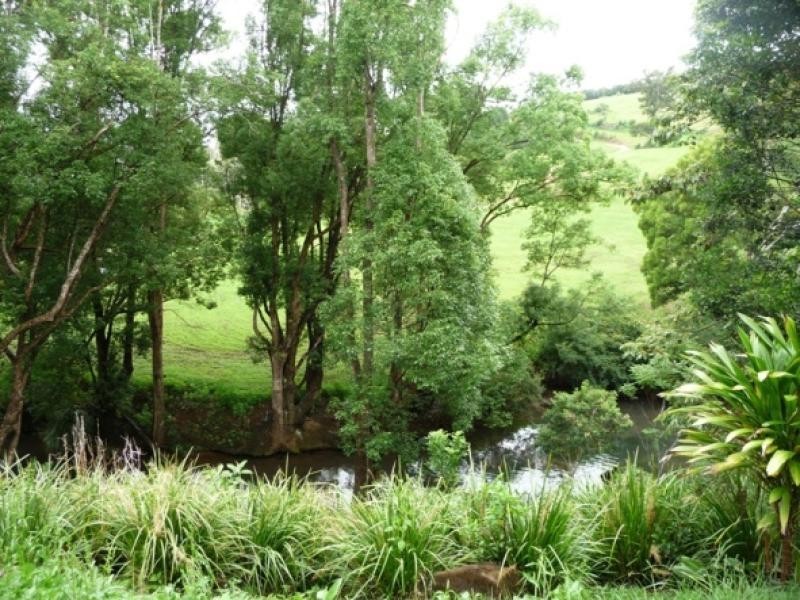 511 Friday Hut Road, Possum Creek NSW 2479