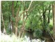 511 Friday Hut Road, Possum Creek NSW 2479