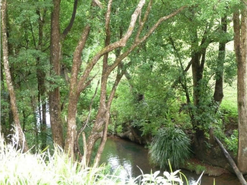 511 Friday Hut Road, Possum Creek NSW 2479