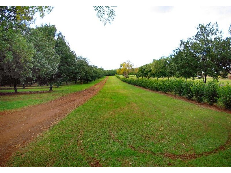 202 Federal Drive, Federal NSW 2480