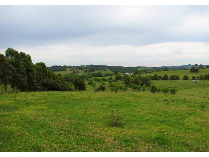 725 Tooheys Mill Road, Pearces Creek NSW 2477