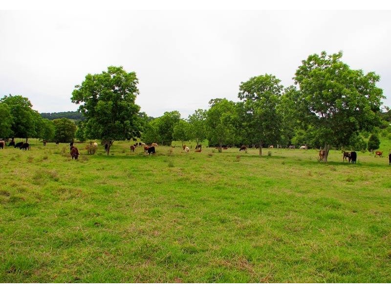 725 Tooheys Mill Road, Pearces Creek NSW 2477