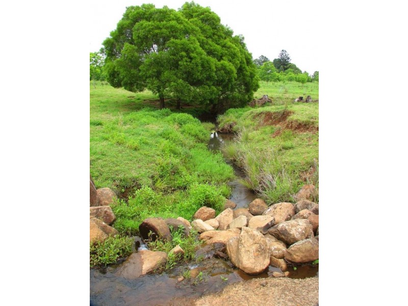 725 Tooheys Mill Road, Pearces Creek NSW 2477