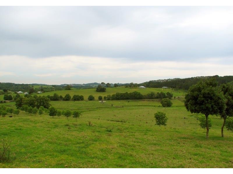 725 Tooheys Mill Road, Pearces Creek NSW 2477