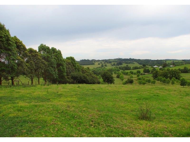 725 Tooheys Mill Road, Pearces Creek NSW 2477