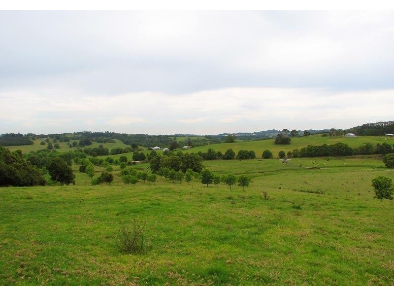 725 Tooheys Mill Road, Pearces Creek NSW 2477