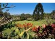 224 Tyagarah Road, Myocum NSW 2481