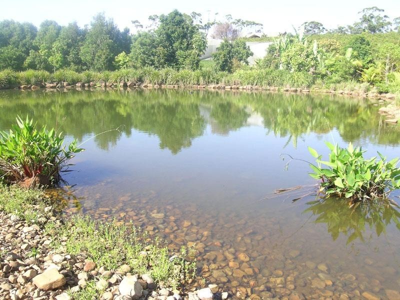 205 Coolamon Senic Drive, Coorabell NSW 2479