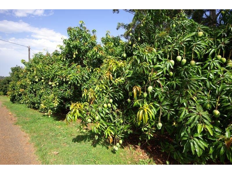 181 Goremans Road, Eureka NSW 2480