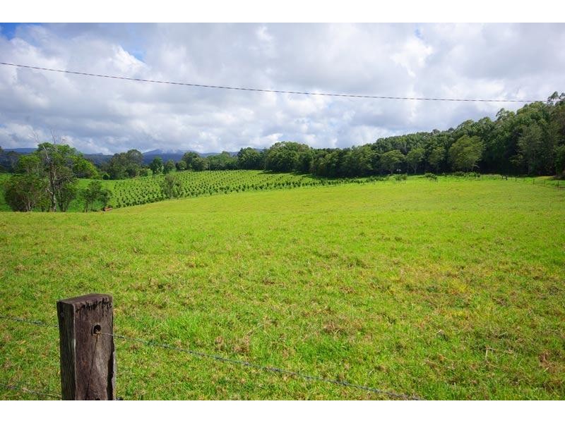 287 Whian Whian Road, Whian Whian NSW 2480