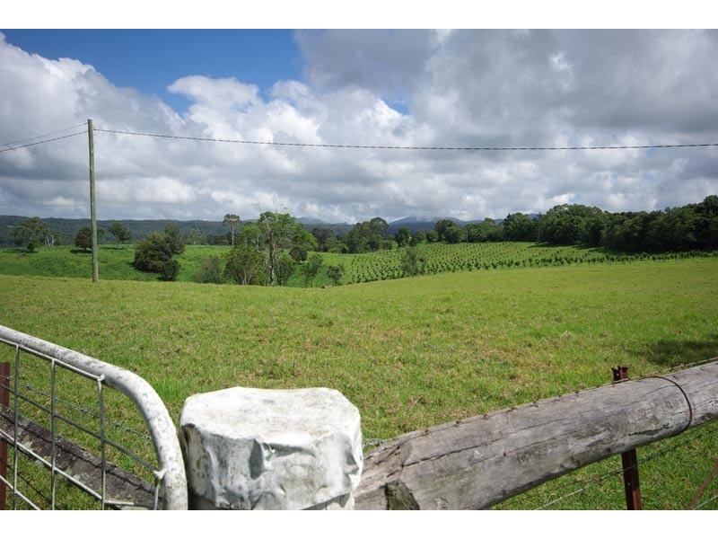 287 Whian Whian Road, Whian Whian NSW 2480