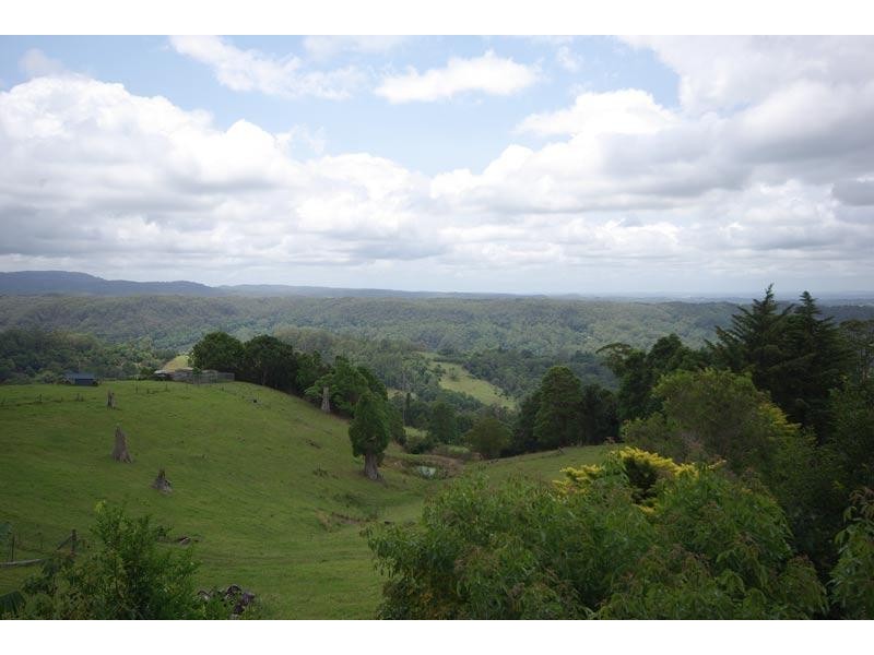 305 Rose Road, The Channon NSW 2480