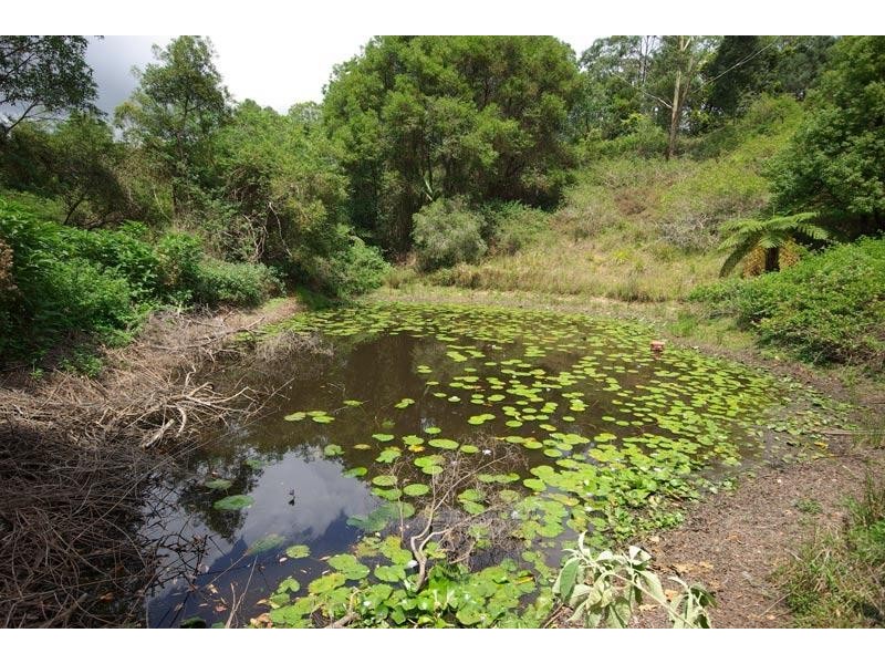 305 Rose Road, The Channon NSW 2480