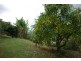 305 Rose Road, The Channon NSW 2480