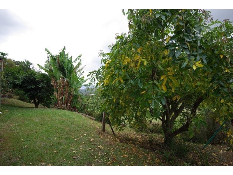 305 Rose Road, The Channon NSW 2480