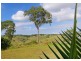145 Hunters Hill Road, Corndale NSW 2480