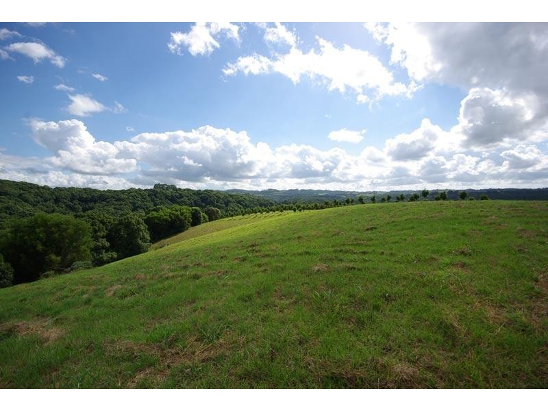 107 Eureka Road, Rosebank NSW 2480