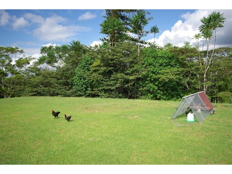 107 Eureka Road, Rosebank NSW 2480