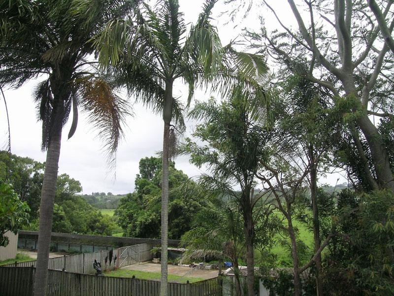 65 Lismore Road, Bangalow NSW 2479