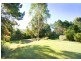 16 Palm-Lily Crescent, Bangalow NSW 2479
