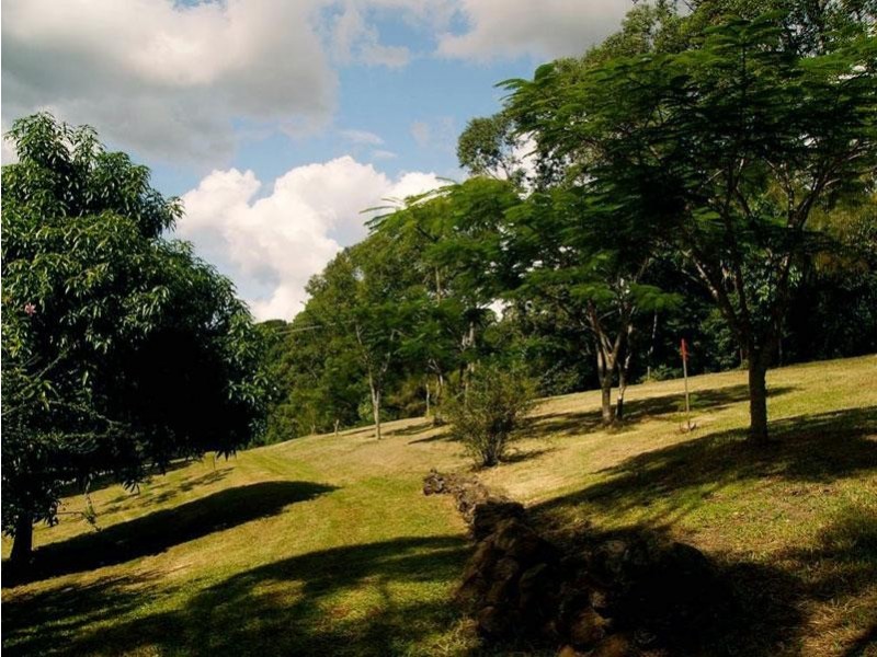 434 Repentance Creek Road, Repentance Creek NSW 2480