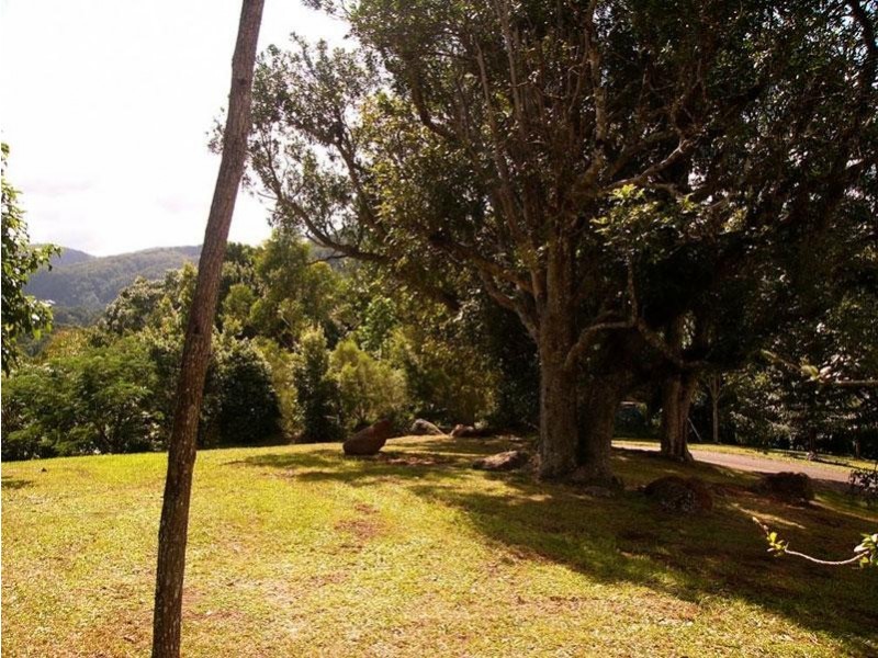 434 Repentance Creek Road, Repentance Creek NSW 2480