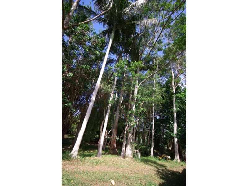 73 Parkway Drive, Ewingsdale NSW 2481