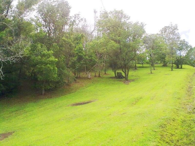 245 Coopers Shoot Road, Coopers Shoot NSW 2479