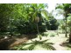 150 Upper Wilsons Creek Road, Upper Wilsons Creek NSW 2482