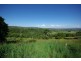 187 Cameron Road, Mcleans Ridges NSW 2480
