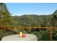149 Coopers Creek Road, Repentance Creek NSW 2480