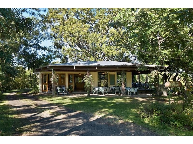 149 Coopers Creek Road, Repentance Creek NSW 2480
