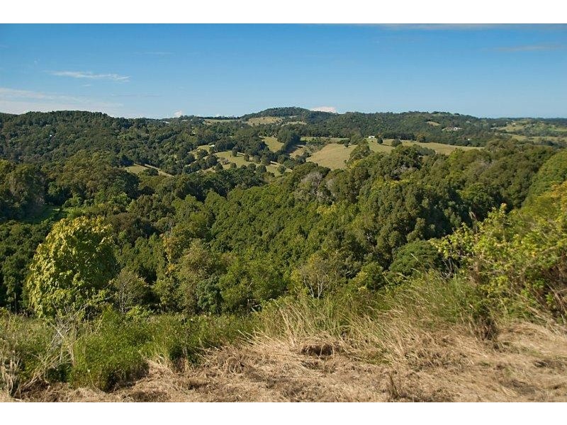 149 Coopers Creek Road, Repentance Creek NSW 2480