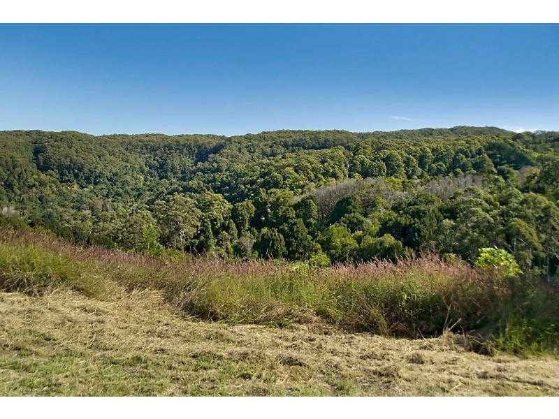 149 Coopers Creek Road, Repentance Creek NSW 2480
