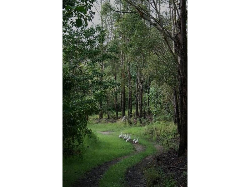 Lot 1/ Cudgera Creek Road, Pottsville Beach NSW 2489