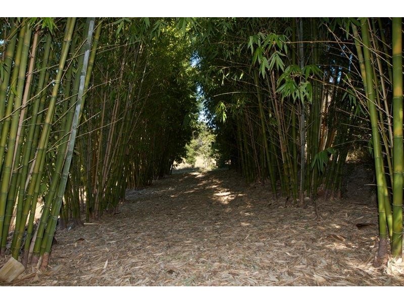 Lot 1/ Cudgera Creek Road, Pottsville Beach NSW 2489