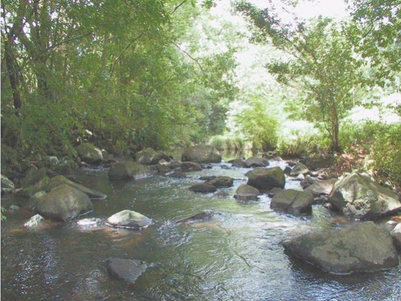 Possum Creek NSW 2479