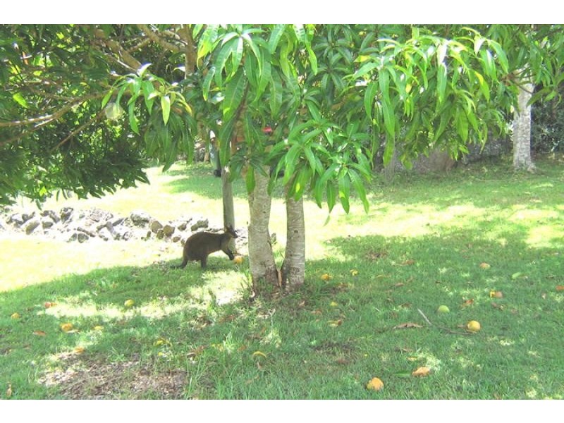 140 Grays Lane, Tyagarah NSW 2481