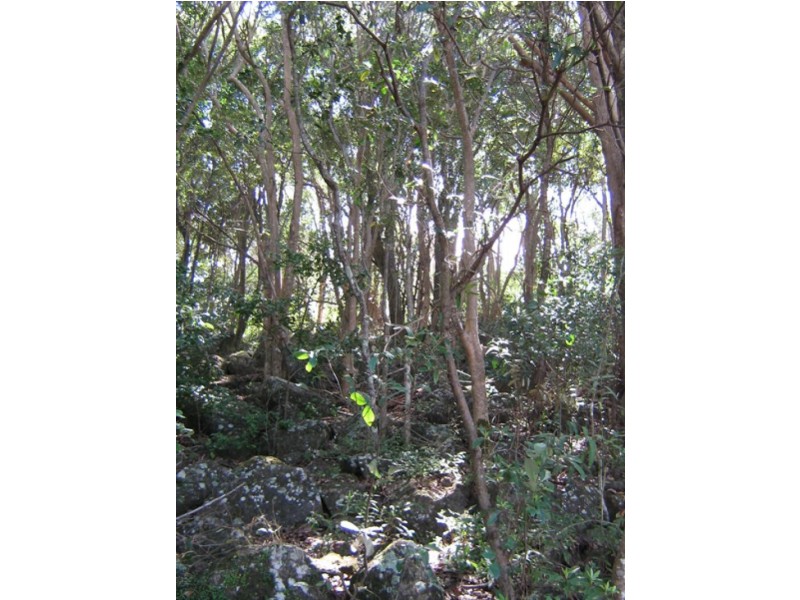 140 Grays Lane, Tyagarah NSW 2481