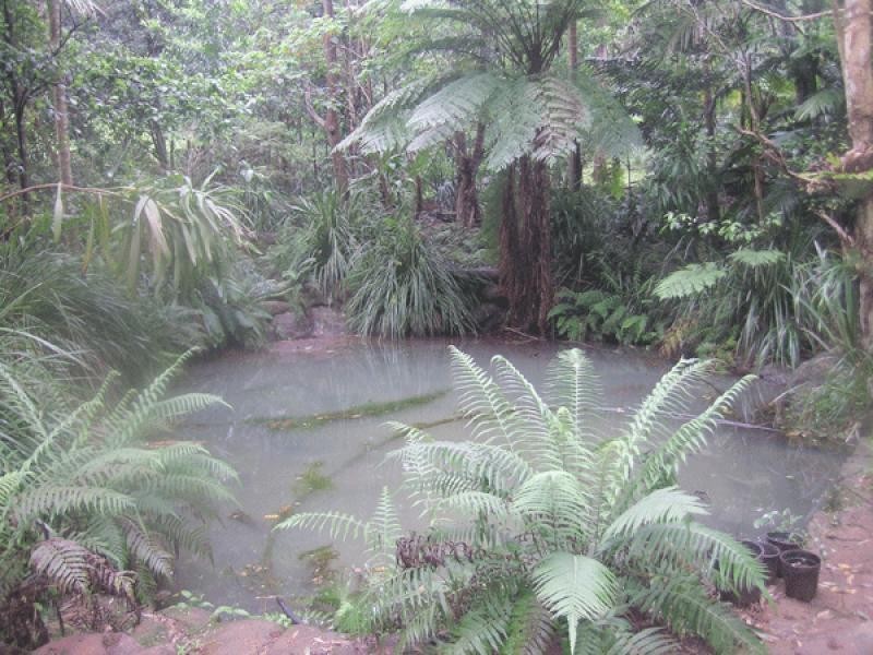 4 Karinya Place, Clunes NSW 2480