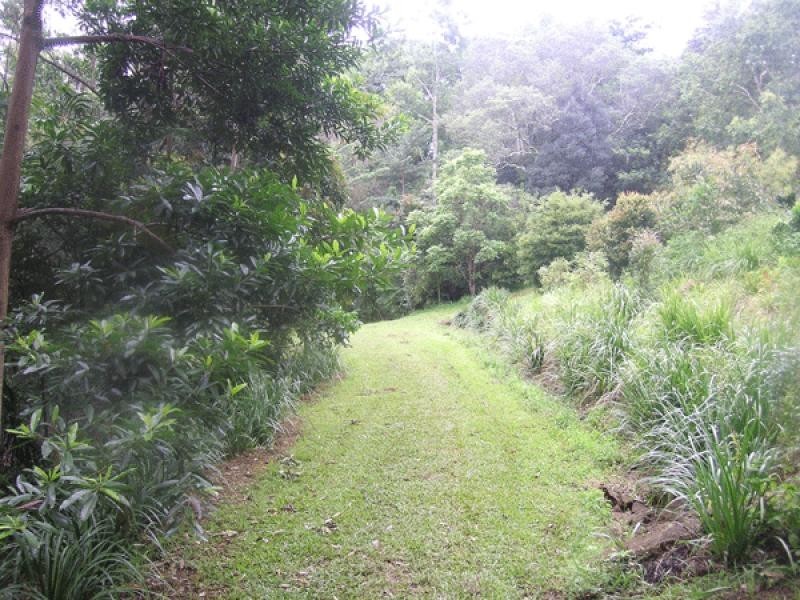 4 Karinya Place, Clunes NSW 2480