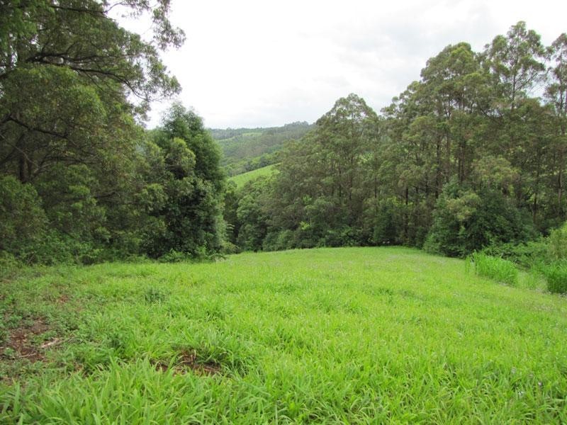 2448 Dunoon Road, Rosebank NSW 2480