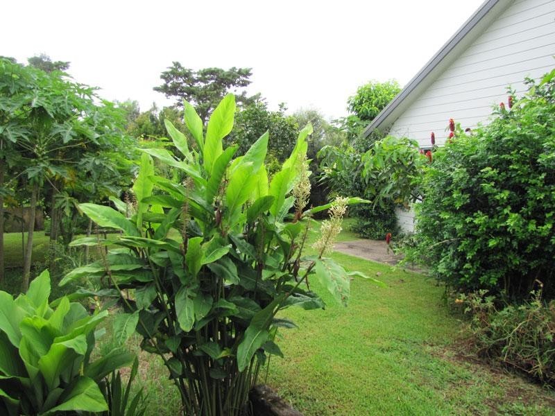 2 Blackwood Crescent, Bangalow NSW 2479