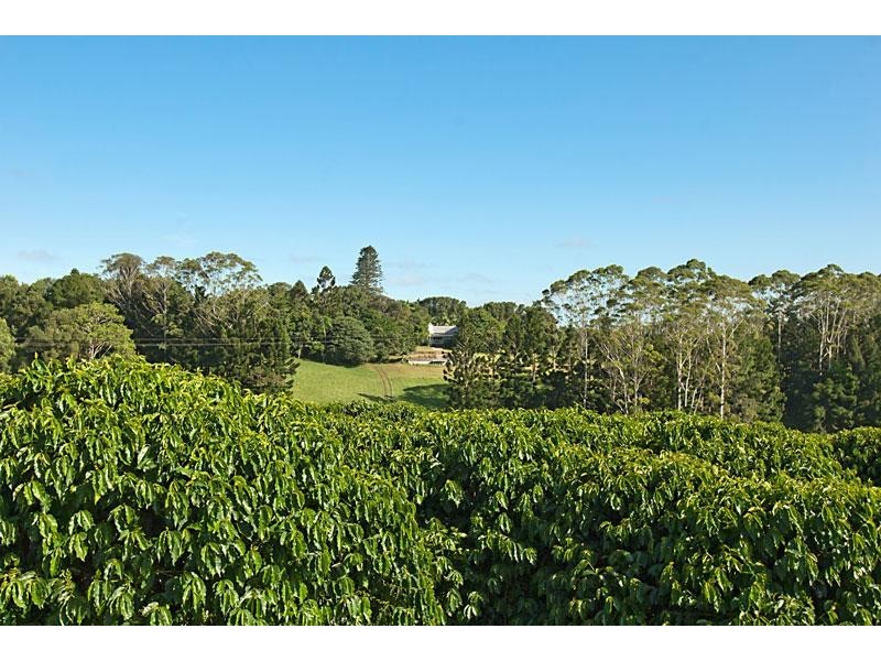 351 Rosebank Road, Rosebank NSW 2480