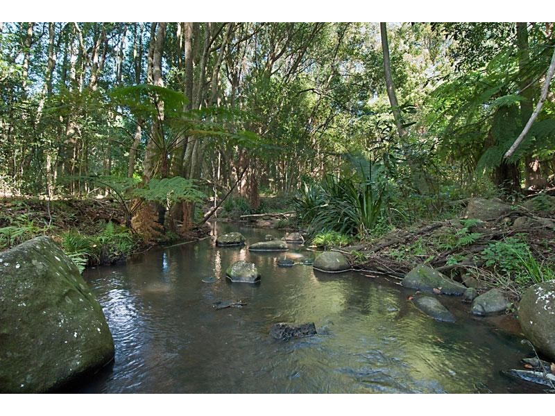 351 Rosebank Road, Rosebank NSW 2480