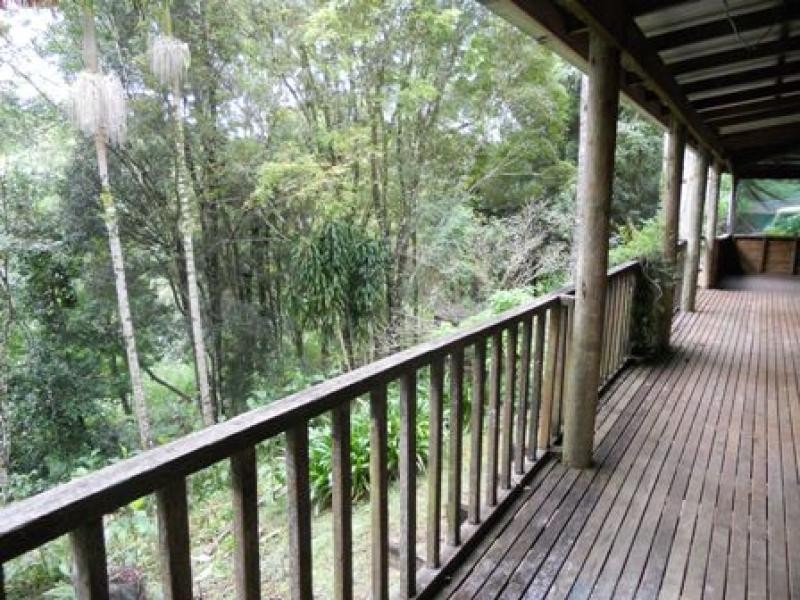 325 Repentance Creek Road, Rosebank NSW 2480