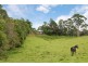 90 General Stubbs Drive, Rosebank NSW 2480