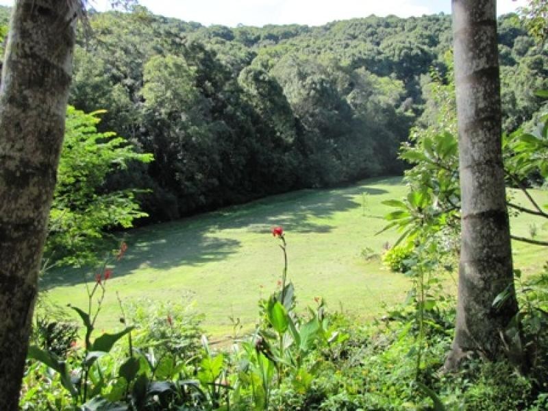 200A Eureka Road, Rosebank NSW 2480