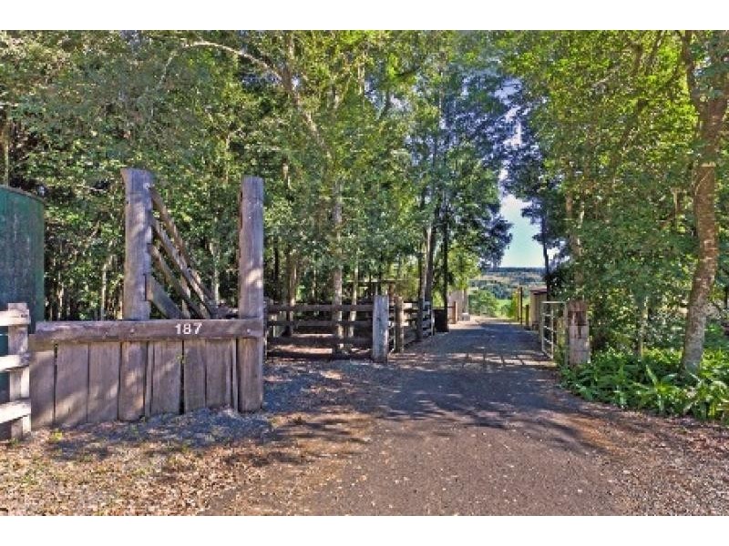 Mcleans Ridges NSW 2480